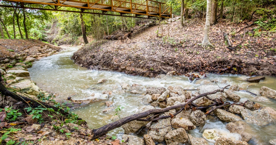 Itinerari 48 Jam yang Sempurna di Houston untuk Pengunjung Pertama Kali